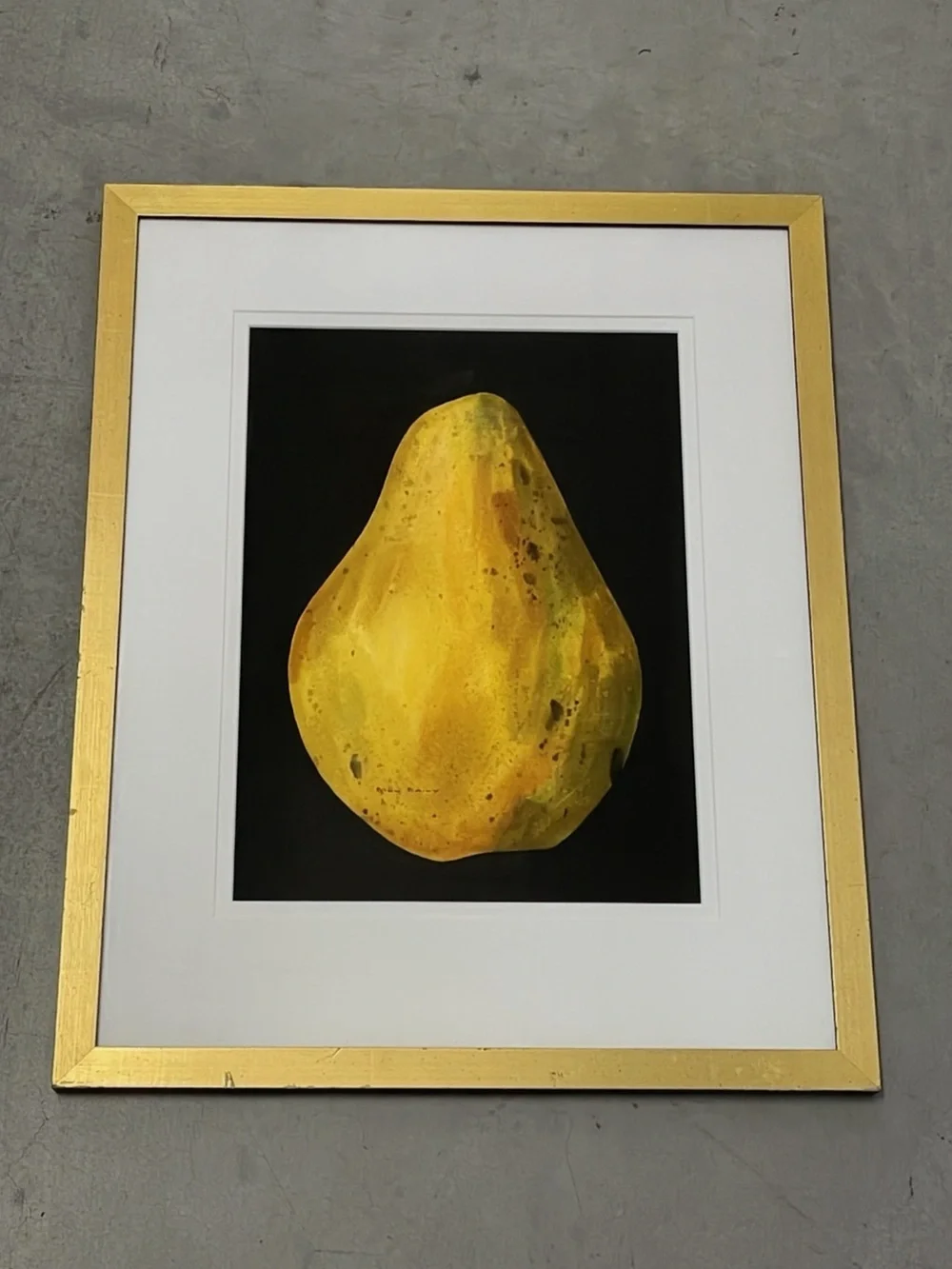 Bill Baily Framed Papaya Fruit Still Life Signed Art Print 18x22.5
